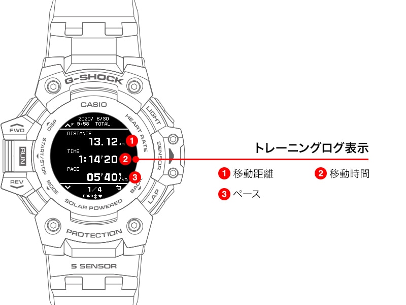 トレーニングログ表示