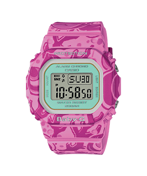BGD-560SLG-4JR